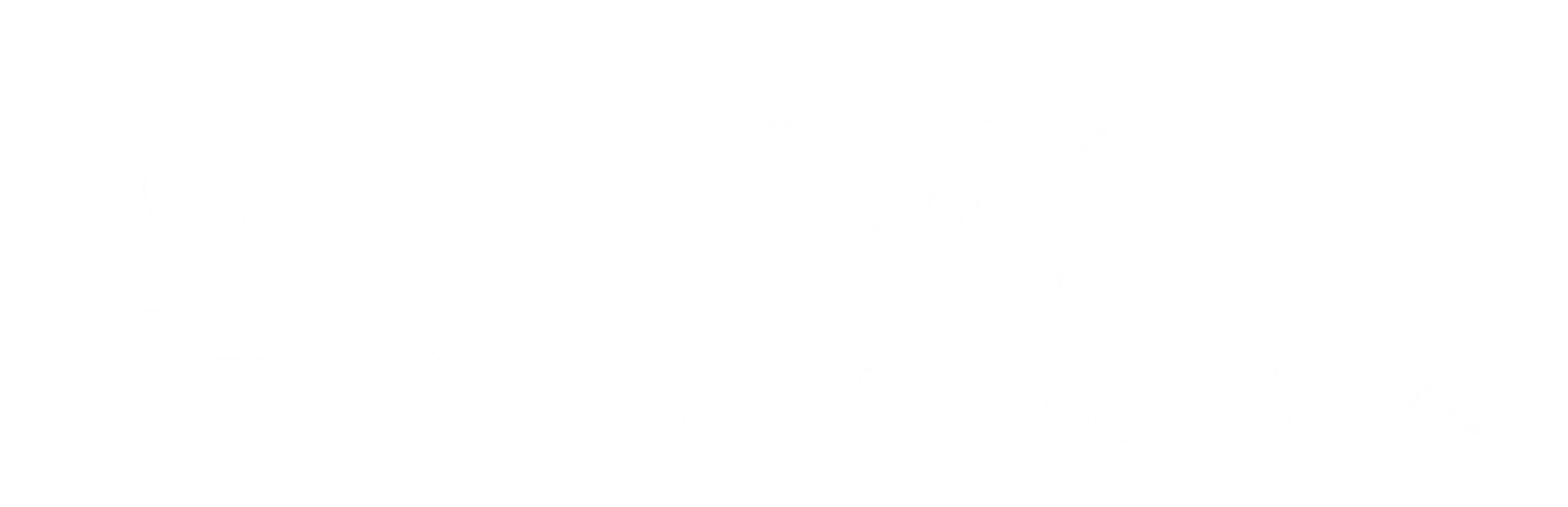 VPN MOD APK